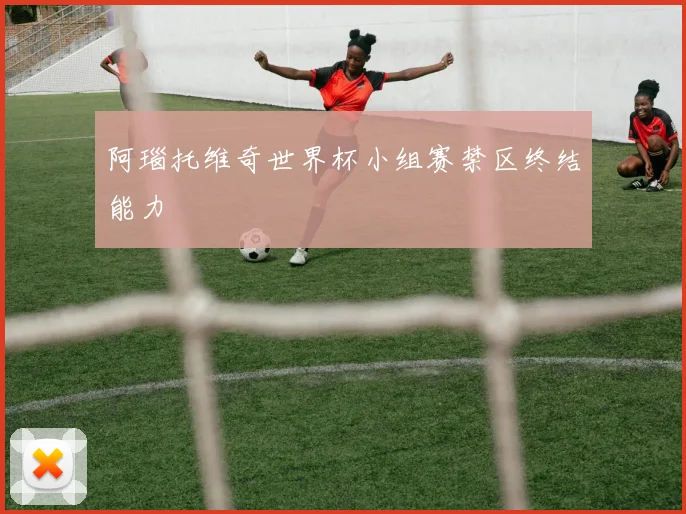 阿瑙托维奇世界杯小组赛禁区终结能力