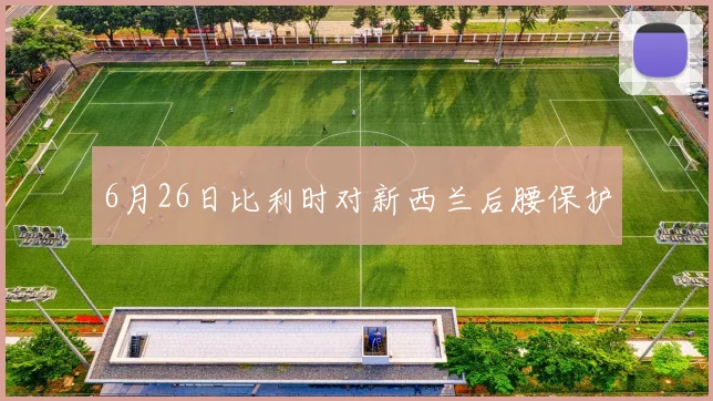 6月26日比利时对新西兰后腰保护